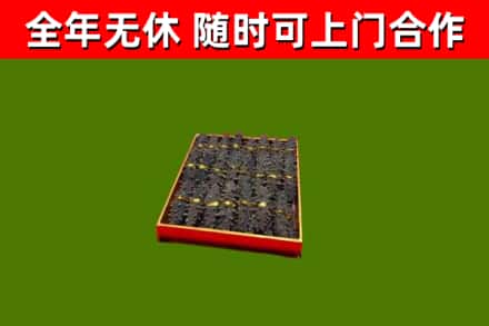 浚县回收海参